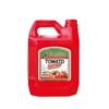 Tomate Kutchep Linguer 5L